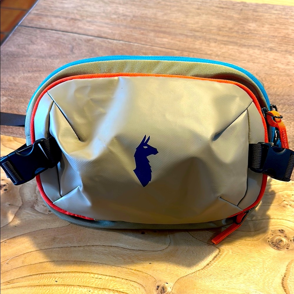 Cotopaxi Allpa 4L waist bag